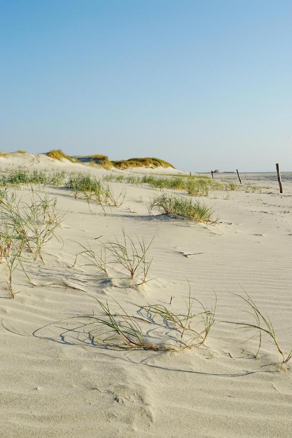 Апартаменти Ferienhus #1 Nordfriesland Mildstedt Екстер'єр фото
